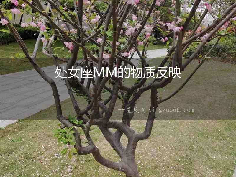 處女座MM的物質(zhì)反映