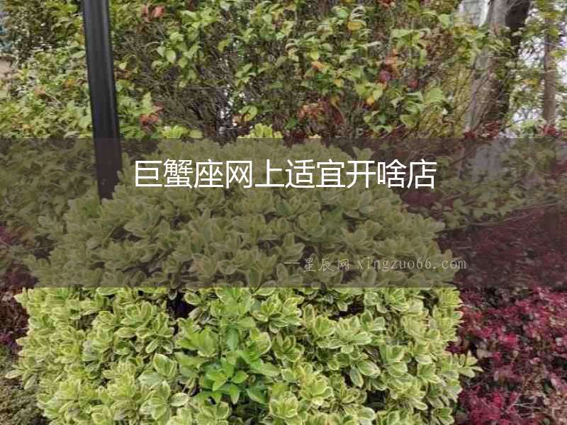 巨蟹座網(wǎng)上適宜開(kāi)啥店