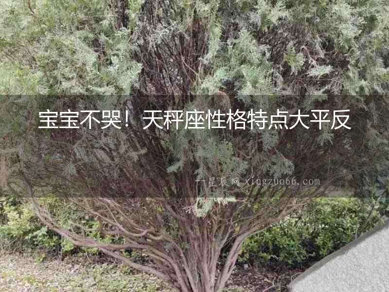 寶寶不哭！天秤座性格特點大平反