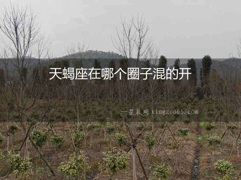 天蝎座在哪個(gè)圈子混的開(kāi)