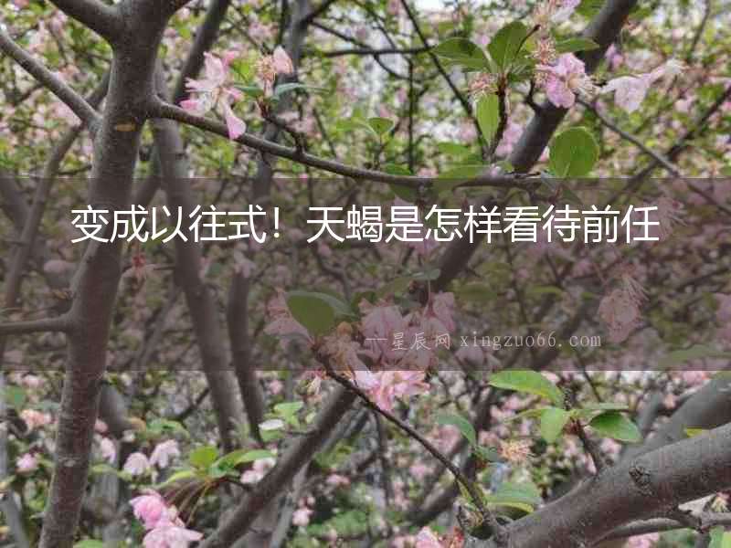 變成以往式！天蝎是怎樣看待前任