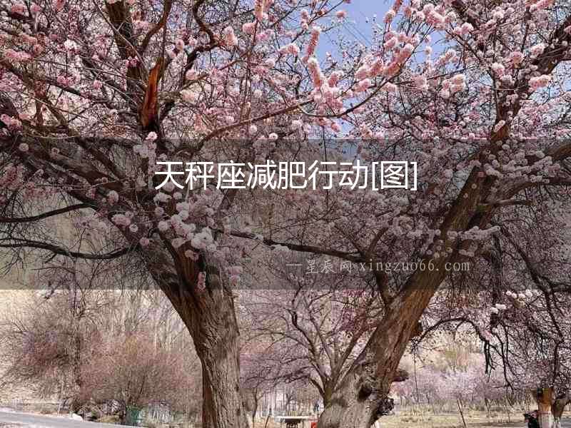 天秤座減肥行動[圖]