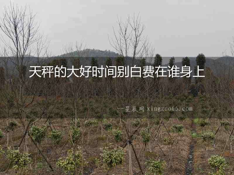 天秤的大好時(shí)間別白費(fèi)在誰身上
