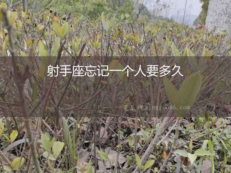 射手座忘記一個(gè)人要多久