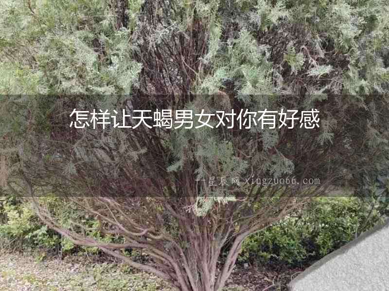 怎樣讓天蝎男女對(duì)你有好感