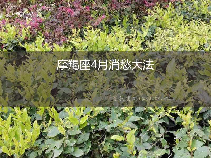 摩羯座4月消愁大法