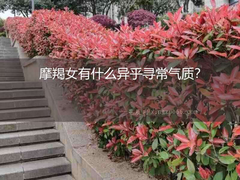 摩羯女有什么異乎尋常氣質？