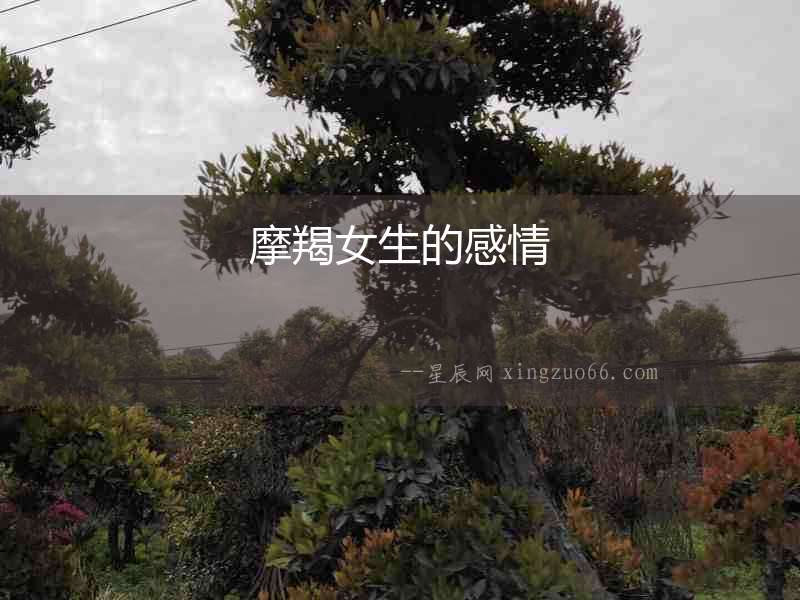 摩羯女生的感情