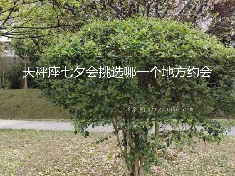 天秤座七夕會挑選哪一個地方約會