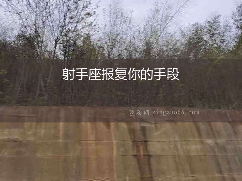 射手座報復你的手段