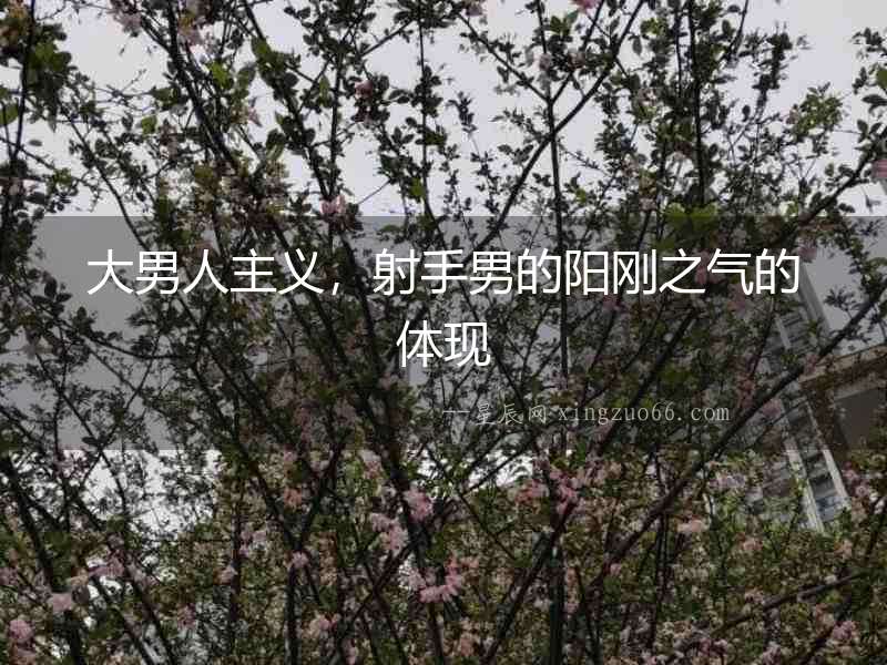 大男人主義，射手男的陽剛之氣的體現