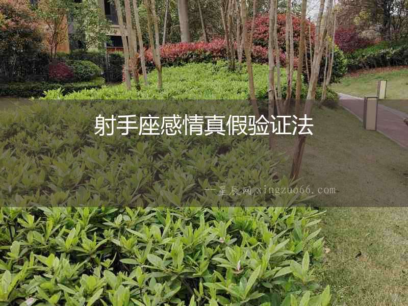 射手座感情真假驗證法