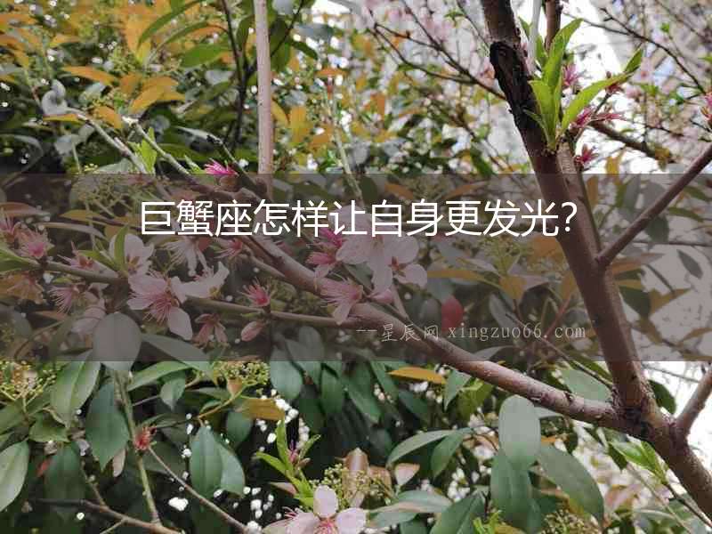 巨蟹座怎樣讓自身更發光？