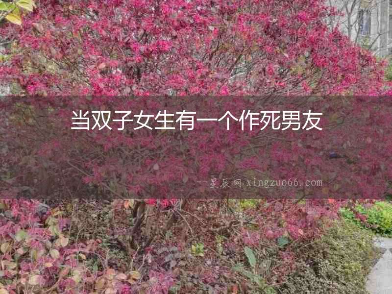 當(dāng)雙子女生有一個作死男友