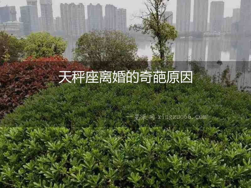 天秤座離婚的奇葩原因
