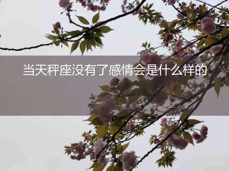 當天秤座沒有了感情會是什么樣的