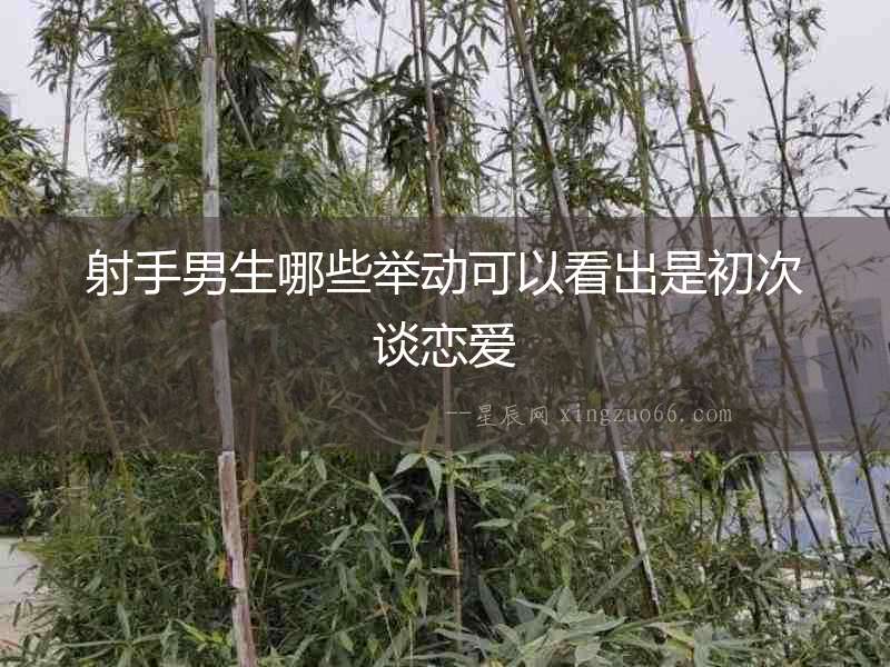 射手男生哪些舉動(dòng)可以看出是初次談戀愛