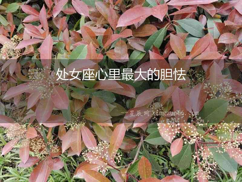 處女座心里最大的膽怯