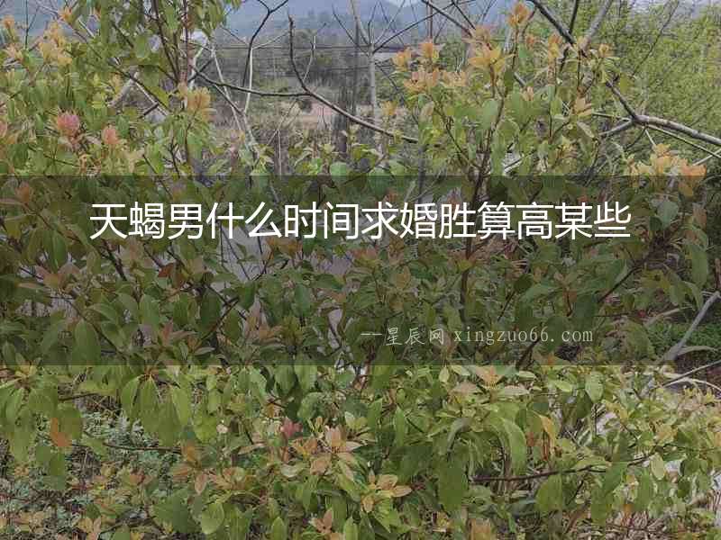 天蝎男什么時間求婚勝算高某些