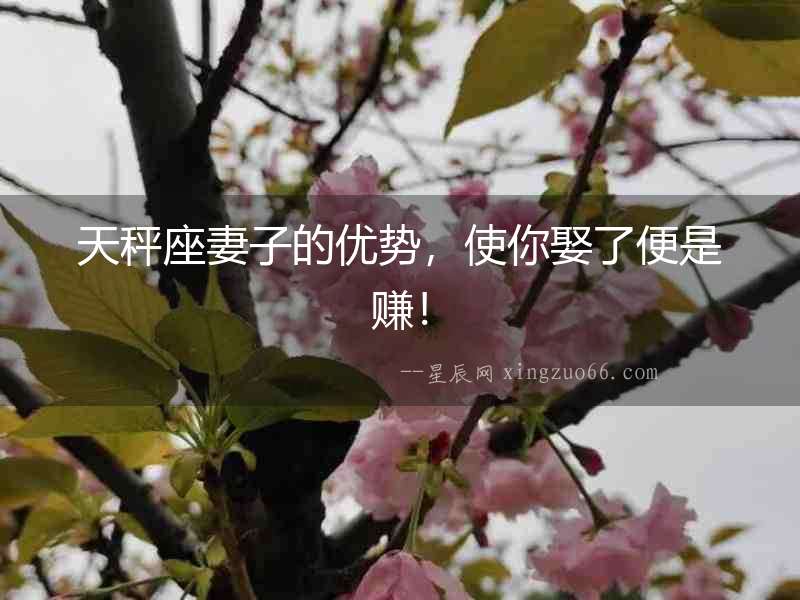 天秤座妻子的優(yōu)勢，使你娶了便是賺！