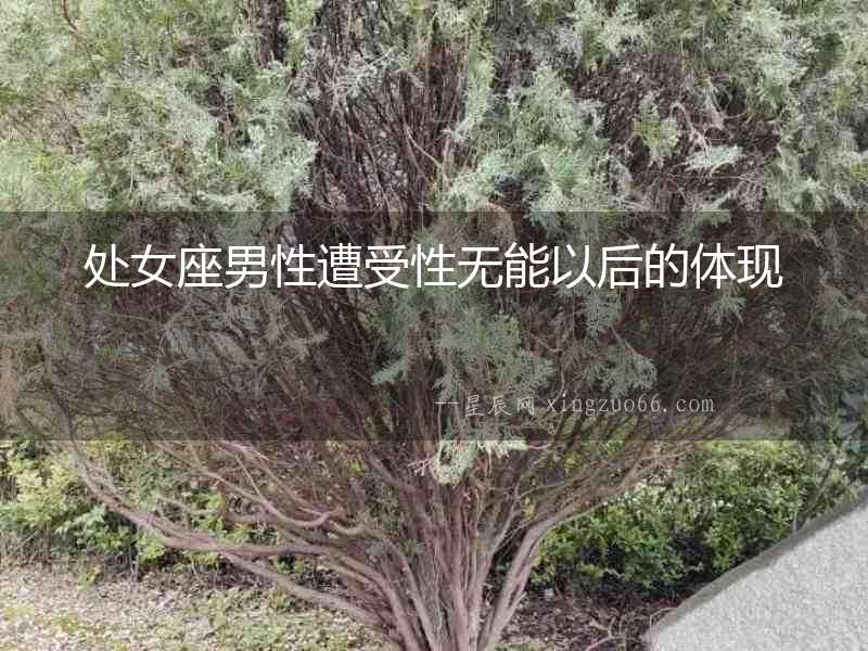 處女座男性遭受性無能以后的體現