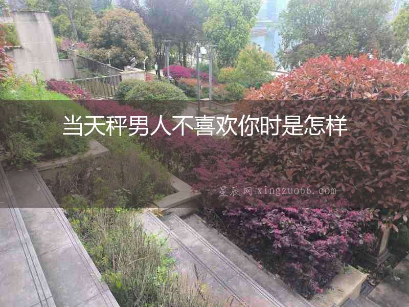 當天秤男人不喜歡你時是怎樣