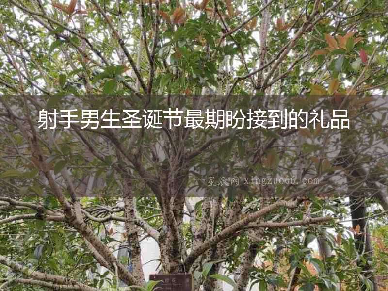 射手男生圣誕節最期盼接到的禮品