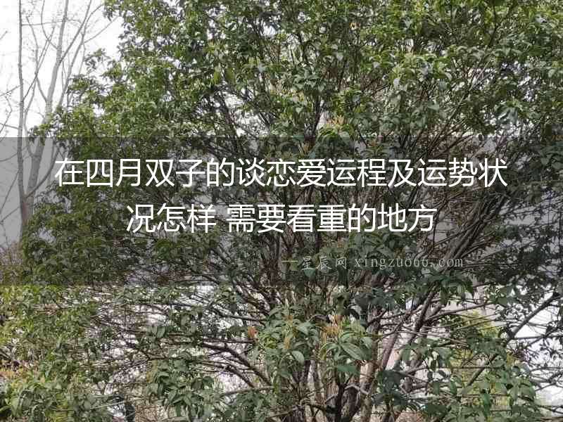 在四月雙子的談戀愛運程及運勢狀況怎樣 需要看重的地方