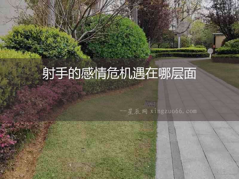 射手的感情危機(jī)遇在哪層面