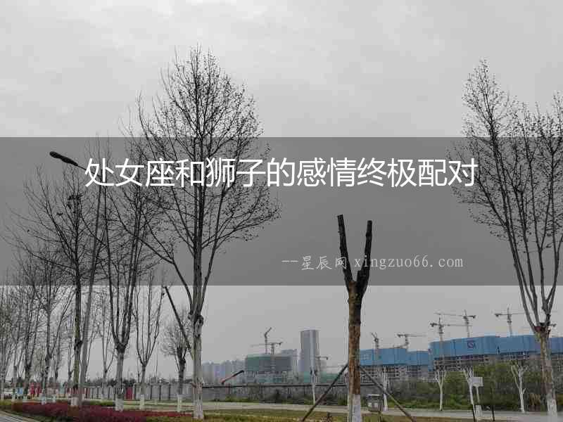 處女座和獅子的感情終極配對