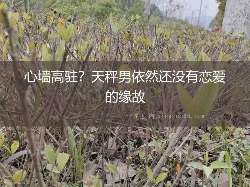 心墻高駐？天秤男依然還沒有戀愛的緣故
