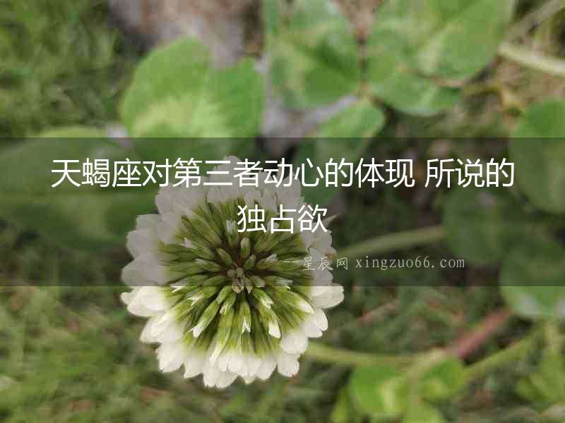 天蝎座對(duì)第三者動(dòng)心的體現(xiàn) 所說(shuō)的獨(dú)占欲
