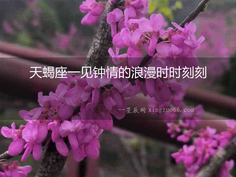 天蝎座一見鐘情的浪漫時時刻刻