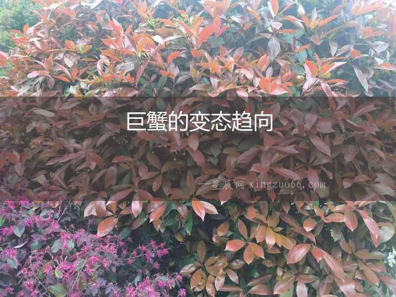 巨蟹的變態(tài)趨向