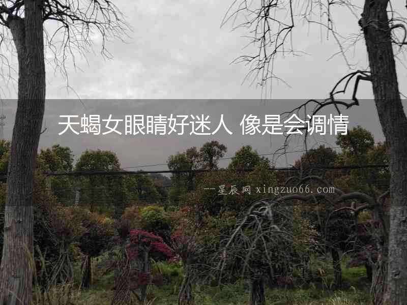 天蝎女眼睛好迷人 像是會調(diào)情