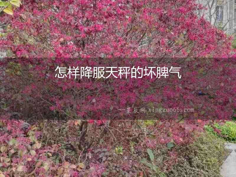 怎樣降服天秤的壞脾氣