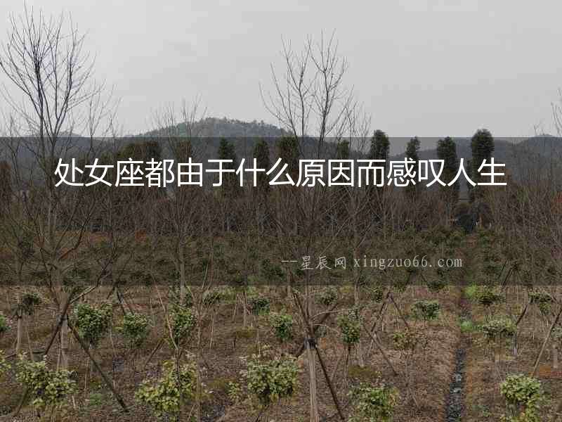 處女座都由于什么原因而感嘆人生