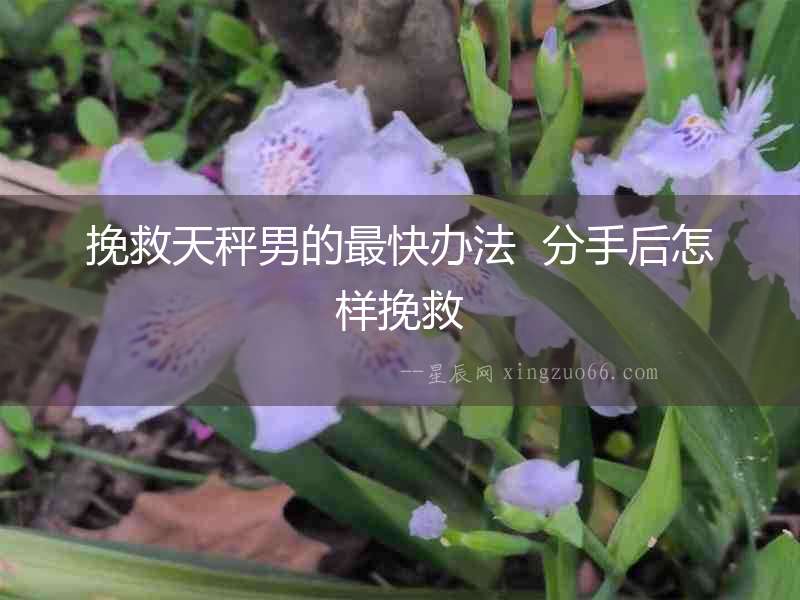 挽救天秤男的最快辦法  分手后怎樣挽救