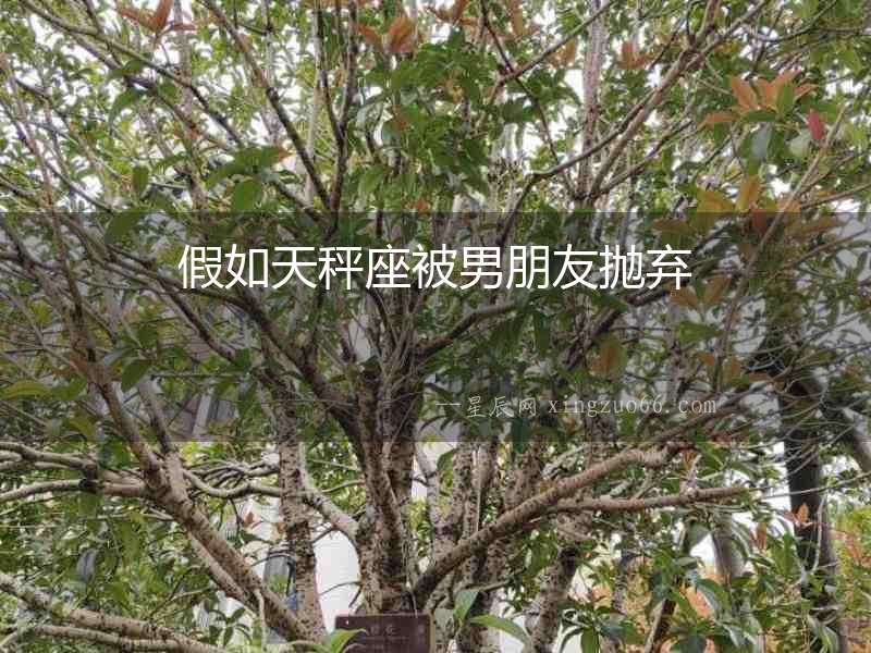 假如天秤座被男朋友拋棄