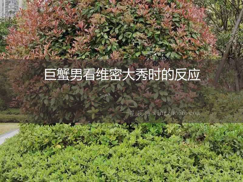 巨蟹男看維密大秀時(shí)的反應(yīng)