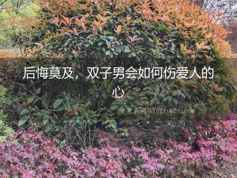 后悔莫及，雙子男會(huì)如何傷愛人的心