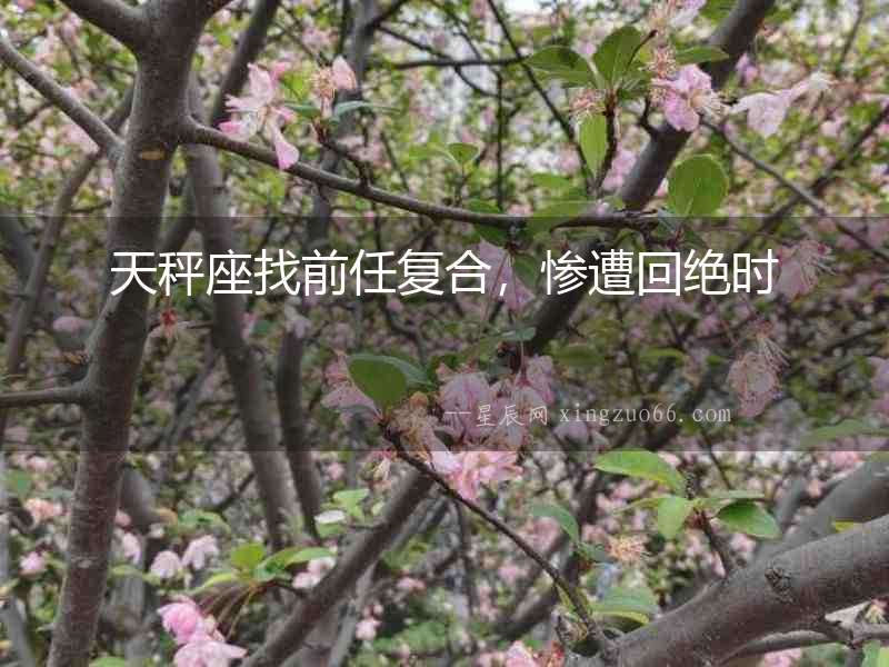 天秤座找前任復合，慘遭回絕時