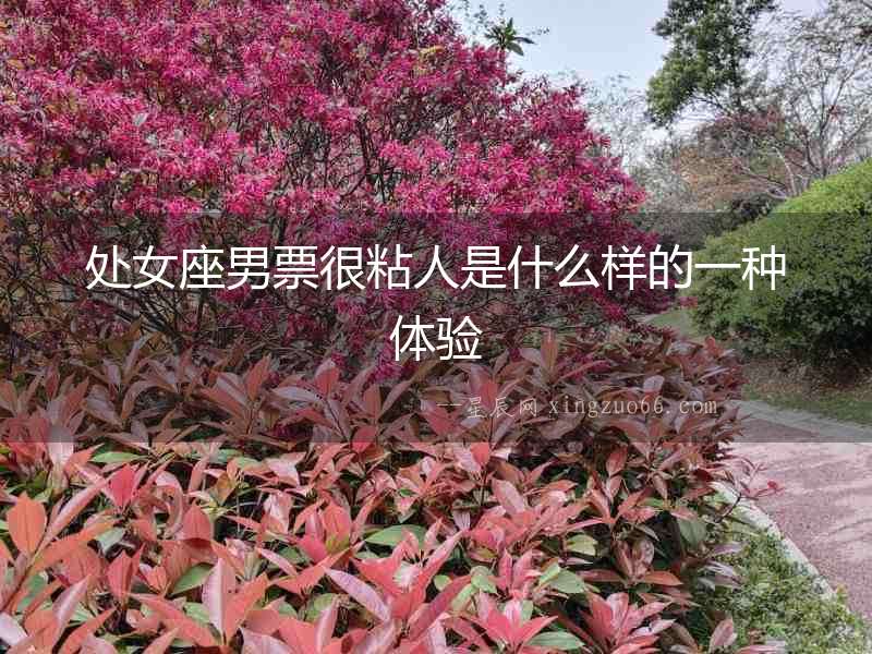 處女座男票很粘人是什么樣的一種體驗