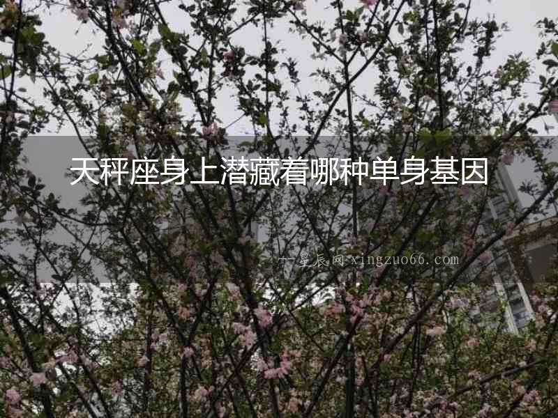天秤座身上潛藏著哪種單身基因