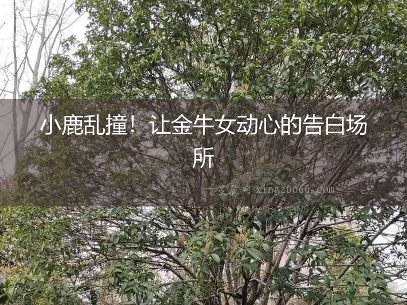 小鹿亂撞！讓金牛女動心的告白場所