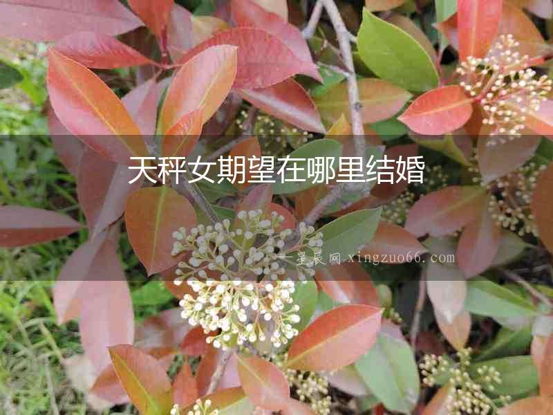 天秤女期望在哪里結婚
