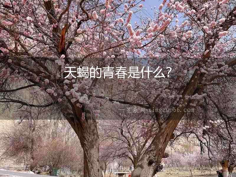 天蝎的青春是什么？