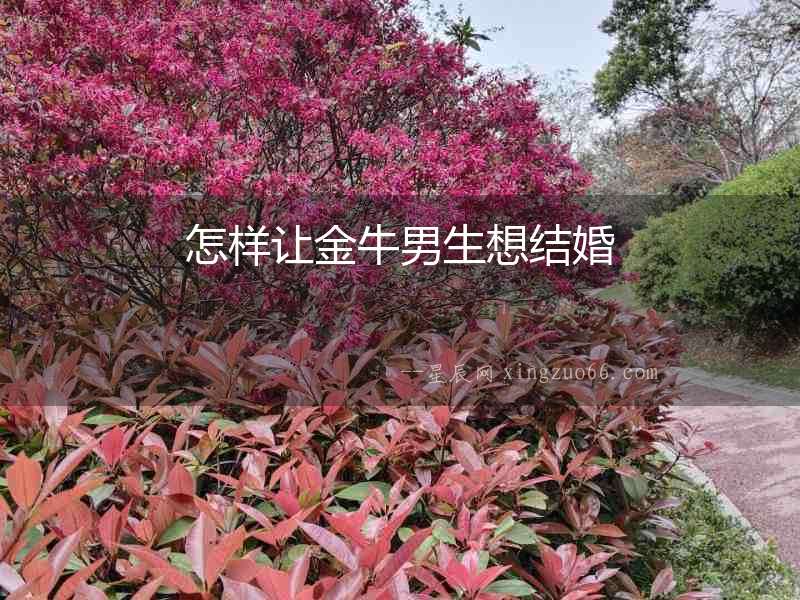 怎樣讓金牛男生想結(jié)婚
