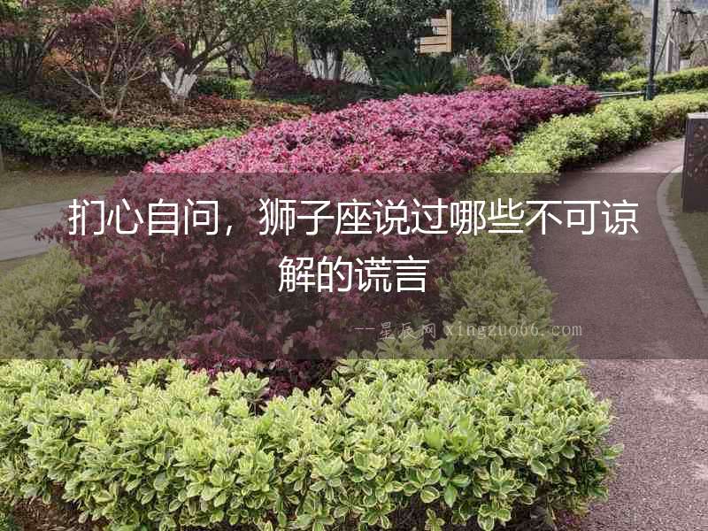 捫心自問，獅子座說過哪些不可諒解的謊言