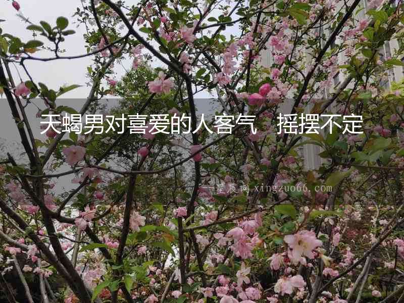 天蝎男對(duì)喜愛(ài)的人客氣   搖擺不定